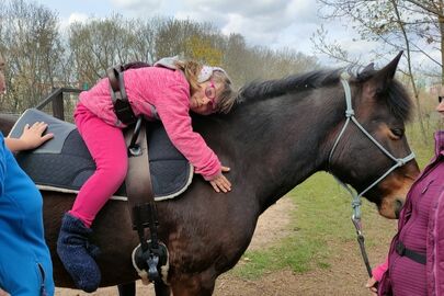 Rehabilitace na koňském hřbetu